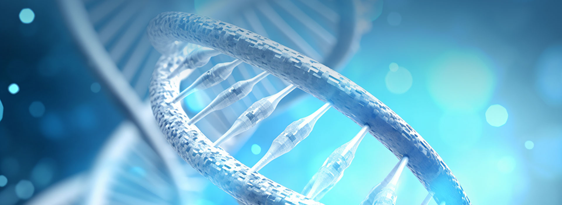 生命科学-合肥星空电竞科技股份有限公司