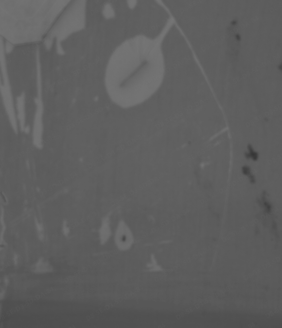 蓝膜下异物检测